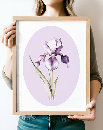 Fioletowy Irys - grafika botaniczna, Paperblue Studio