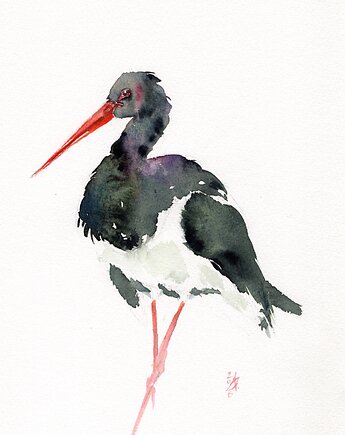 Oryginalna akwarela. Bocian czarny, alquadro