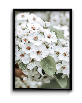 Plakat Blossom, OKAZJE - Prezent na Mikołajki