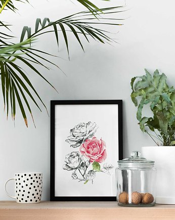 Grafika botaniczna w ramie, beata sketches