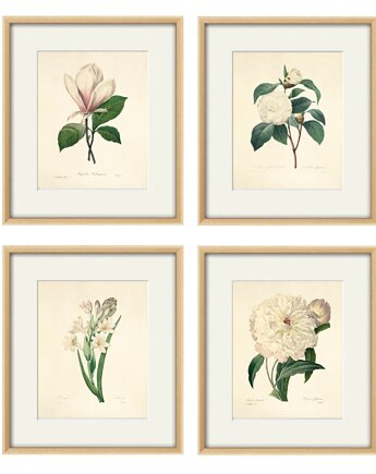 Kwiaty Ilustracja Druk Botaniczny prezent stara Grafika Rysunek, Victorian wall art