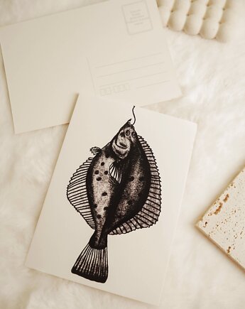 Pocztówka Ilustracja Flądra, Maybe Jwlr