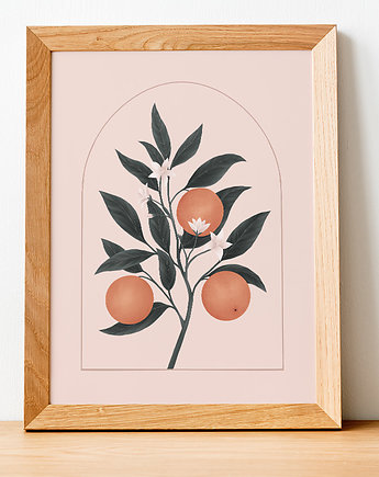 Plakat mandarynki, Agnieszka Baran Ilustracje