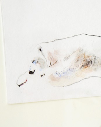 Niedźwiedź polarny- grafika, Natalia Kołacz