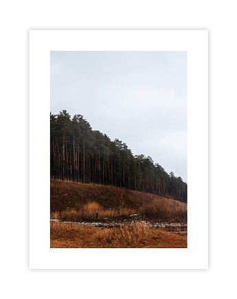Las W Górach Plakat, KNOR