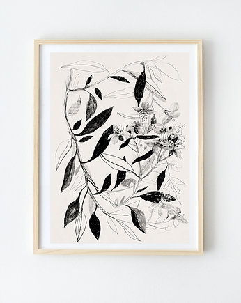 ilustracja botaniczna  A3, Anita Tomala