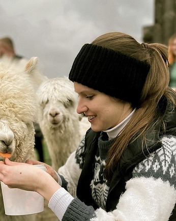 Podwójnie ciepła czarna opaska merino na mroźny wiatr, Holy Alpaca Knit
