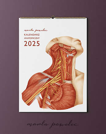 Marta Pawelec Medical Art projektant