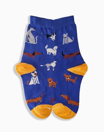 Kolorowe Skarpetki - Dogcats Socks, Prezent Socks