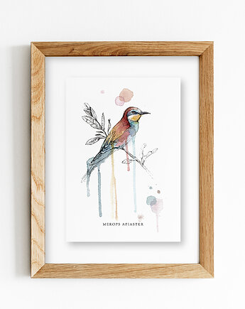 Żołna, A4, JUST ILUST Justyna Małczak