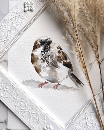 Akwarela wróbel, Wiktoria Borys Art