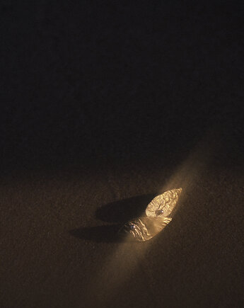 Kolczyki TERRA No. 1, Kamaryd