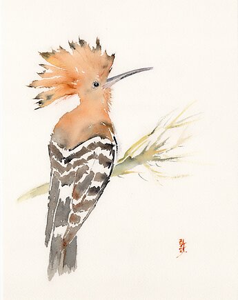 Oryginalna akwarela. Dudek, alquadro