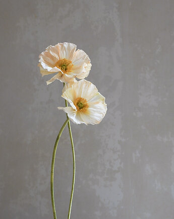 Maki islandzkie z papieru, dekoracja botaniczna, Bibula Blooms