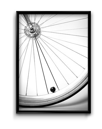 Plakat Koło Rowerowe, Bury Lis
