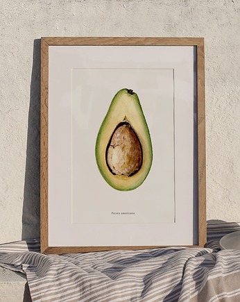 Plakat- Awokado, HERBAROOM