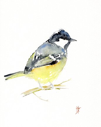 Oryginalna akwarela. Sikora bogatka, alquadro