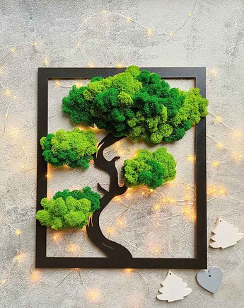 Drzewo bonsai z mchem, w prostokącie, greenowacja