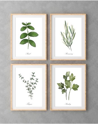 PLAKATY DO KUCHNI zioła botaniczne, black dot studio