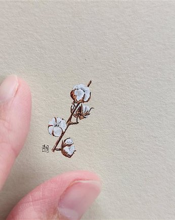 Bawełna, Botanical illustration, miniatura, atelier Brocante