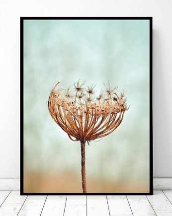 PLAKAT jesienny skandynawski  botaniczny Kwiat, black dot studio