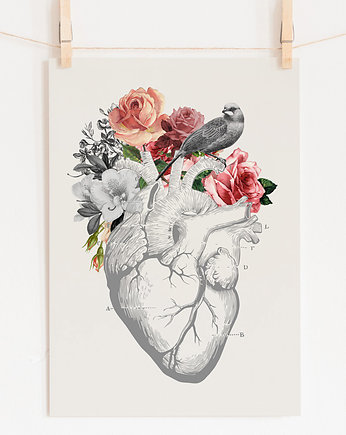 Autorska grafika "HEART", anatomiczne serce, serce, PRINTLOVE