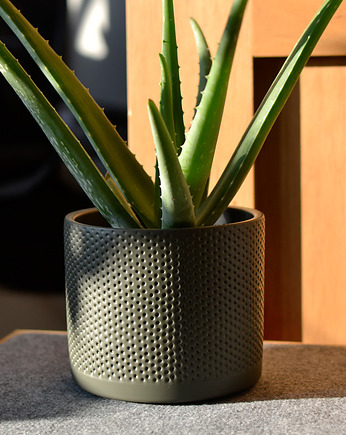 Osłonki ceramiczne (do kwietników HOYA), Hoya