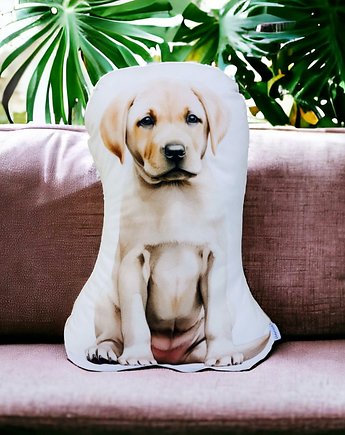 Poduszka piesek przytulanka z pieskiem pies maskotka pies labrador, Uszyciuch