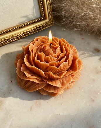 Świeca sojowa ekologiczna dekoracyjna piwonia peonia "Terracotta" 80x35mm, Coccola JEWELLERY