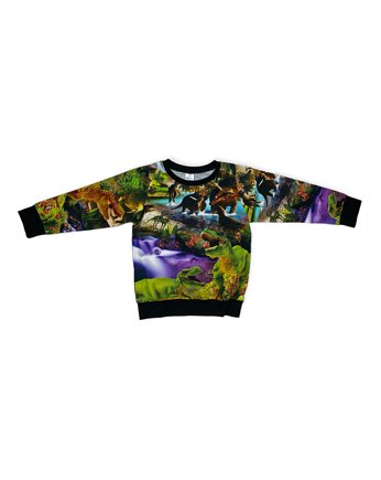 Bluza Dinozaury rozmiar 116, aab creative