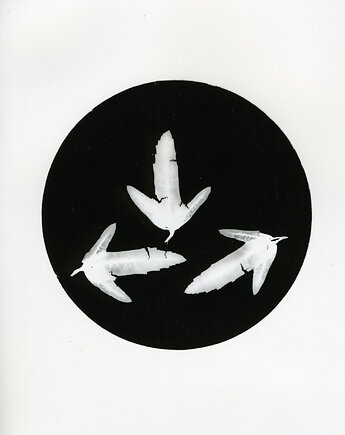 W trójkę, PAPER AND LIGHT