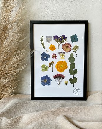 Sosnowa czarna ramka suszone kwiaty, Blossom Frame