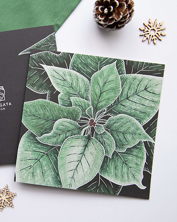 Kartka świąteczna Poinsecja zielona, Variegata Design
