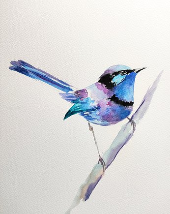 Akwarela chwostka, Wiktoria Borys Art