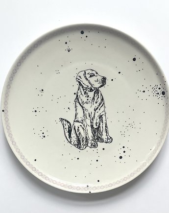 Labrador, arent plates