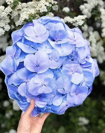 Poduszka Wodoodporna Mała Hortensja Blue, poduszkownia