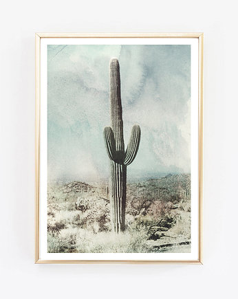 cactus vintage fotografia plakat, wejustlikeprints