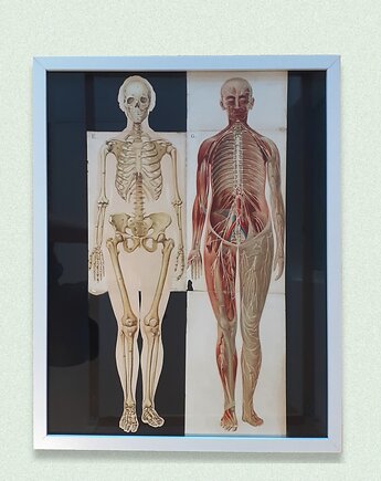 Ciało Chromolitografia, miglancyk
