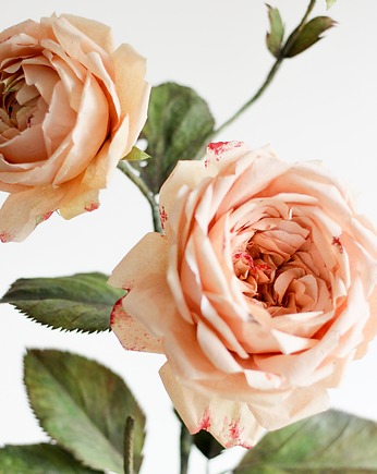 Krepinowa dekoracja botaniczna - róża, Bibula Blooms