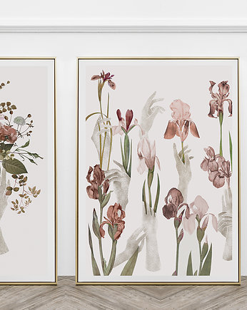 Plakat Irysy 50x70 cm, Anita Tomala
