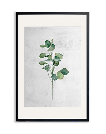 PLAKAT (poster) EUKALIPTUS, LUdesign gallery