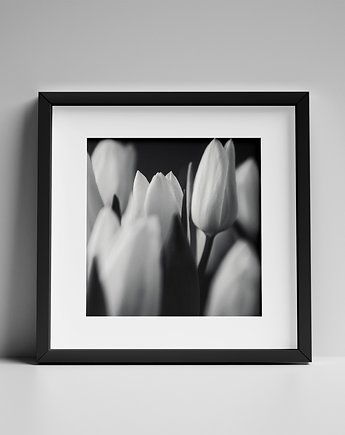 Tulipany, ATStudio