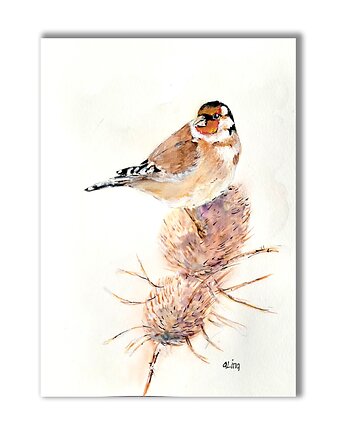 Akwarela ręcznie malowana "Szczygieł" ptaki, Galeria Alma