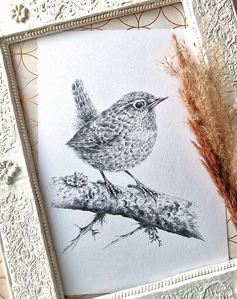 Ptaszek strzyżyk, Wiktoria Borys Art