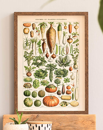 grafika Legumes et Plantes Potageres (reprint), Follygraph