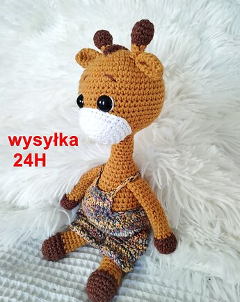 Żyrafa Ambroży, żyrafka, szydlAnki