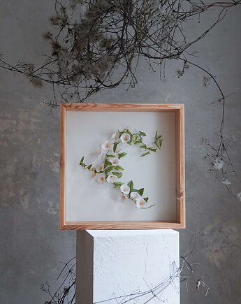 Obiekt botaniczny z papieru, roślina - powój duży, Bibula Blooms