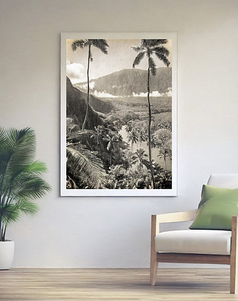 Plakat hawaje, ArchiBotanica
