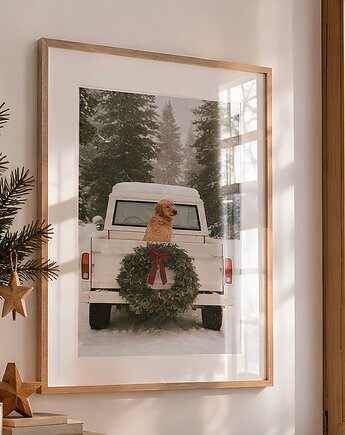 PLAKAT świąteczny zimowy pies golden retriever zdjęcie, black dot studio