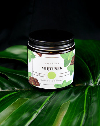 Świeca sojowa Mięta + Czekolada 120 ml, soolley